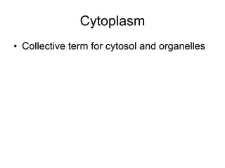 Cytoplasm Collective term for cytosol and organelles  