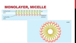 MONOLAYER, MICELLE
 