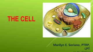 THE CELL
Marilyn E. Soriano, PTRP,
LPT
 