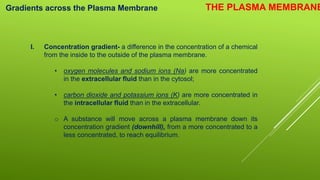 CELL TRANSPORT PROCESS | PPTX