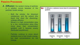 CELL TRANSPORT PROCESS | PPTX