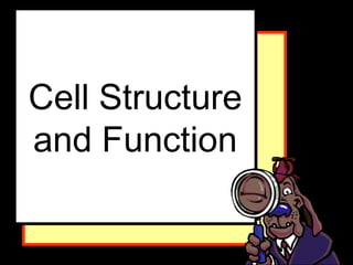 Cell Structure
and Function
 