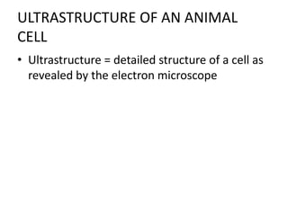 ULTRASTRUCTURE OF AN ANIMAL
CELL
• Ultrastructure = detailed structure of a cell as
revealed by the electron microscope
 