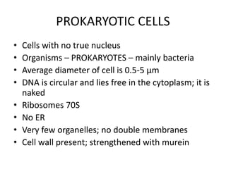 PROKARYOTIC CELLS
• Cells with no true nucleus
• Organisms – PROKARYOTES – mainly bacteria
• Average diameter of cell is 0.5-5 μm
• DNA is circular and lies free in the cytoplasm; it is
naked
• Ribosomes 70S
• No ER
• Very few organelles; no double membranes
• Cell wall present; strengthened with murein
 