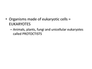 • Organisms made of eukaryotic cells =
EUKARYOTES
– Animals, plants, fungi and unicellular eukaryotes
called PROTOCTISTS
 