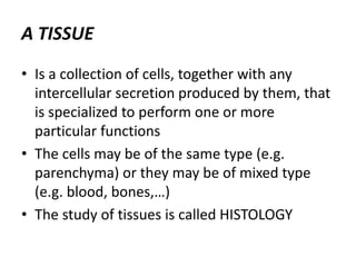A TISSUE
• Is a collection of cells, together with any
intercellular secretion produced by them, that
is specialized to perform one or more
particular functions
• The cells may be of the same type (e.g.
parenchyma) or they may be of mixed type
(e.g. blood, bones,…)
• The study of tissues is called HISTOLOGY
 