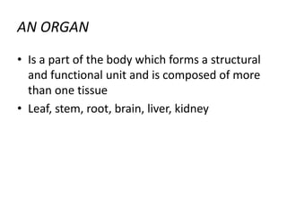 AN ORGAN
• Is a part of the body which forms a structural
and functional unit and is composed of more
than one tissue
• Leaf, stem, root, brain, liver, kidney
 