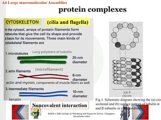 Cellular classification: classification types | PPTX