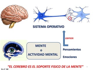 SISTEMA OPERATIVO
MENTE
o
ACTIVIDAD MENTAL
Pensamientos
Emociones
corren
En C 28
4“EL CEREBRO ES EL SOPORTE FISICO DE LA MENTE”
 