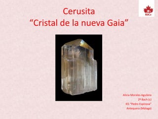 Cerusita
“Cristal de la nueva Gaia”
Alicia Morales Aguilera
2º Bach (c)
IES “Pedro Espinosa”
Antequera (Málaga)
 