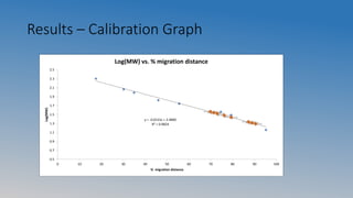 Results – Calibration Graph
y = -0.0131x + 2.4800
R² = 0.9824
0.5
0.7
0.9
1.1
1.3
1.5
1.7
1.9
2.1
2.3
2.5
0 10 20 30 40 50 60 70 80 90 100
Log(MW)
% migration distance
Log(MW) vs. % migration distance
 
