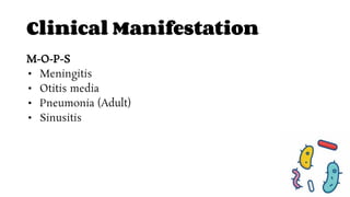 Cocci Bacteria | PDF