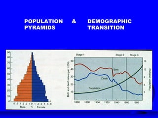 POPULATION & DEMOGRAPHIC
PYRAMIDS TRANSITION
 
