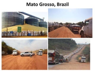 Cooperative Agribusiness Development: What are we learning in Latin America? 