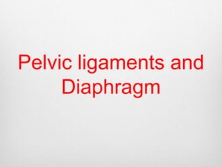 Pelvic ligaments and 
Diaphragm 
 
