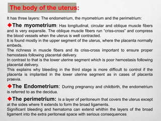 The body of the uterus: 
It has three layers: The endometrium, the myometrium and the perimetrium: 
The myometrium: Has longitudinal, circular and oblique muscle fibers 
and is very expansile. The oblique muscle fibers run “criss-cross” and compress 
the blood vessels when the uterus is well contracted. 
It is found mostly in the upper segment of the uterus, where the placenta normally 
embeds. 
The richness in muscle fibers and its criss-cross important to ensure proper 
hemostasis following placental delivery. 
In contrast to that is the lower uterine segment which is poor hemostasis following 
placental delivery. 
This explains why bleeding in the third stage is more difficult to control if the 
placenta is implanted in the lower uterine segment as in cases of placenta 
praevia. 
The Endometrium: During pregnancy and childbirth, the endometrium 
is referred to as the decidua. 
The perimetrium: Is a layer of peritoneum that covers the uterus except 
at the sides where It extends to form the broad ligaments. 
Significant bleeding and hematoma can extend whithin the layers of the broad 
ligament into the extra peritoneal space with serious consequences 
 