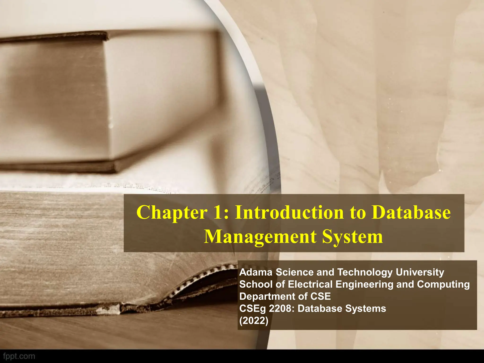 1_Chapter_One_Introduction_to_Database_Management_System_2.ppt