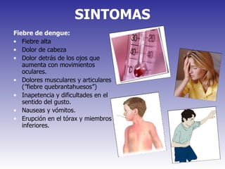 SINTOMAS Fiebre de dengue: Fiebre alta Dolor de cabeza Dolor detrás de los ojos que aumenta con movimientos oculares. Dolores musculares y articulares (”fiebre quebrantahuesos”) Inapetencia y dificultades en el sentido del gusto. Nauseas y vómitos.  Erupción en el tórax y miembros inferiores. 