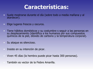 Características: Suele mostrarse durante el día (sobre todo a media mañana y al atardecer). Elige lugares frescos y oscuros. Tiene hábitos domésticos y su costumbre s seguir a las personas en su desplazamiento (identifica a los humanos por sus compuestos químicos de la piel, dióxido de carbono y la temperatura corporal). Su ataque es silencioso. Insiste en su intención de picar. Viven 45 días (la hembra puede picar hasta 300 personas). También es vector de la Fiebre Amarilla. 