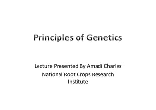 Lecture Presented By Amadi Charles
National Root Crops Research
Institute
 