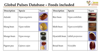 FAO/INFOODS Global Food Composition Database for Pulses | PDF