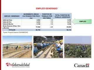 EMPLEO GENERADO
INCREMENTO ÁREAS
CULTIVADAS POR PECH
(ha)
PUESTOS DE
TRABAJO POR
HECTÁREA
TOTAL PUESTOS DE
TRABAJO GENERADO
Valle de Chao 3,840 1.5 5,760
Valle de Virú 4,252 1.5 6,378
Valle de Moche 3,160 1.5 4,740
Áreas Nuevas (Chao, Virú
y Moche)
17,542 2.5 43,855
TOTALES 28,794 60,733
EMPLEO
Fuente: Proyecto Especial CHAVIMOCHIC
EMPLEO GENERADO
 