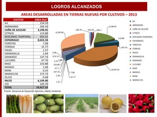 AREAS DESARROLLADAS EN TIERRAS NUEVAS POR CULTIVOS – 2013
Fuente: Gerencia de Desarrollo Agrícola y Medio Ambiente
CULTIVO AREA (ha)
AJI 254.59
ARÁNDANO 206.10
CAÑA DE AZUCAR 3,198.45
CITRICO 119.88
DESCANSO TEMPORAL 455.55
ESPARRAGO 8,024.34
FORESTAL 7.68
FORRAJE 32.77
FRIJOL 1.57
GRANADILLA 2.44
GRANADO 147.74
LUCUMO 47.70
MAIZ 226.88
MANGO 1.04
MANI 6.25
MARACUYA 373.73
OLIVO 0.68
PALTO 6,199.90
VID 109.79
TOTAL 19,417.10
254.59 206.1
3,198.45
119.88
455.55
8,024.34
7.68
32.77
1.57
2.44
147.74
47.7
226.88
1.04
6.25
373.73
0.68
6,199.90
109.79
AJI
ARÁNDANO
CAÑA DE AZUCAR
CITRICO
DESCANSO TEMPORAL
ESPARRAGO
FORESTAL
FORRAJE
FRIJOL
GRANADILLA
GRANADO
LUCUMO
MAIZ
MANGO
MANI
MARACUYA
LOGROS ALCANZADOS
 