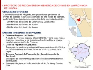 Comunidades favorecidas
Los beneficiarios del Proyecto, son productores ganaderos de
ovinos de escasos recursos económicos de alto índice de pobreza,
pertenecientes a los siguientes caseríos de la provincia de Julcán:
- 300 familias del distrito de Calamarca y Carabamba.
- 400 familias del distrito de Huaso
- 800 familias del distrito de Julcán
Entidades Involucradas en el Proyecto:
 Gobierno Regional La Libertad:
A través del Proyecto Especial CHAVIMOCHIC, y tiene como misión
organizar y coordinar la participación del sector publico y privado
para la implementación del Proyecto.
 Gerencia Regional de Agricultura:
Encargado de gestionar y elaborar el Programa de Inversión Pública,
en coordinación con entidades del sector publico y privado de la
región.
 Gerencia Regional de Planeamiento y Acondicionamiento
Territorial:
Encargado de coordinar la aprobación de los documentos técnicos
del Proyecto.
 Consejero Regional por la Provincia de Julcán, Dr. Henry Guanilo
Che.
1. PROYECTO DE RECONVERSION GENETICA DE OVINOS EN LA PROVINCIA
DE JULCAN
Provincia de Julcán
 