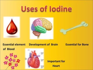 Essential element Development of Brain Essential for Bone
of Blood
Important for
Heart
 