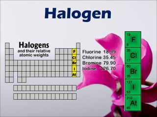 Halogen
 