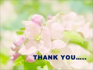 THANK YOU…..
 