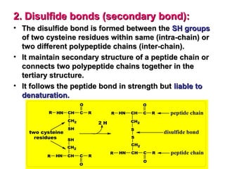 chemistry of proteins | PPT