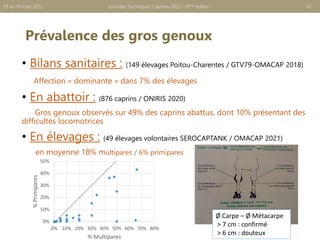 Prévalence des gros genoux
• Bilans sanitaires : (149 élevages Poitou-Charentes / GTV79-OMACAP 2018)
Affection « dominante » dans 7% des élevages
• En abattoir : (876 caprins / ONIRIS 2020)
Gros genoux observés sur 49% des caprins abattus, dont 10% présentant des
difficultés locomotrices
• En élevages : (49 élevages volontaires SEROCAPTANK / OMACAP 2021)
en moyenne 18% multipares / 6% primipares
Journées Techniques Caprines 2022 – 8ème édition 42
29 au 31 mars 2022
0%
10%
20%
30%
40%
50%
0% 10% 20% 30% 40% 50% 60% 70% 80%
%
Primipares
% Multipares
Ø Carpe – Ø Métacarpe
> 7 cm : confirmé
> 6 cm : douteux
 