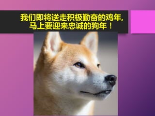 我们即将送走积极勤奋的鸡年,
马上要迎来忠诚的狗年！
 