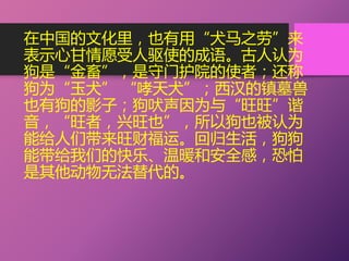 在中国的文化里，也有用“犬马之劳”来
表示心甘情愿受人驱使的成语。古人认为
狗是“金畜”，是守门护院的使者；还称
狗为“玉犬” “哮天犬”；西汉的镇墓兽
也有狗的影子；狗吠声因为与“旺旺”谐
音，“旺者，兴旺也”，所以狗也被认为
能给人们带来旺财福运。回归生活，狗狗
能带给我们的快乐、温暖和安全感，恐怕
是其他动物无法替代的。
 