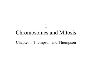 1
Chromosomes and Mitosis
Chapter 1 Thompson and Thompson
 