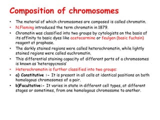 Composition of chromosomes
• The material of which chromosomes are composed is called chromatin.
• N.Fleming introduced the term chromatin in 1879.
• Chromatin was classified into two groups by cytologists on the basis of
its affinity to basic dyes like acetocarmine or feulgen (basic fuchsin)
reagent at prophase.
• The darkly stained regions were called heterochromatin, while lightly
stained regions were called euchromatin.
• This differential staining capacity of different parts of a chromosomes
is known as ‘heteropycnosis’
• Heterochromatin is further classified into two groups:
• a) Constitutive :- It is present in all cells at identical positions on both
homologous chromosomes of a pair.
• b)Facultative:- It varies in state in different cell types, at different
stages or sometimes, from one homologous chromosome to another.
 