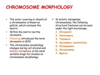 • The outer covering or sheath of
a chromosome is known as
pellicle, which encloses the
matrix.
• Within the matrix lies the
chromatin.
• Flemming introduced the term
chromatin in 1879.
• The chromosome morphology
changes during cell division and
mitotic metaphase is the most
suitable stage for studies on
chromosome morphology.
 In mitotic metaphase
chromosomes, the following
structural features can be seen
under the light microscope.
1. Chromatid
2. Centromere
3. Telomere
4. Secondary constriction
5. Chromomere
6. Chromonema
7. Matrix
CHROMOSOME MORPHOLOGY
 