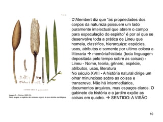 D’Alembert diz que “as propriedades dos
corpos da natureza possuem um lado
puramente intelectual que abrem o campo
para especulação do espirito” é por aí que se
desenvolve toda a prática de Lineu que
nomeia, classifica, hierarquize: espécies,
usos, atributos e somente por ultimo coloca a
litteraria  memória/história (toda linguagem
depositada pelo tempo sobre as coisas) -
Lineu - Nome, teoria, gênero, espécie,
atributos, usos, literatura
No século XVIII - A história natural dirige um
olhar minuncioso sobre as coisas e
transcreve. Não há intermediários,
documentos arquivos, mas espaços claros. O
gabinete de história e o jardim expõe as
coisas em quadro.  SENTIDO: A VISÃO


                                           10
 