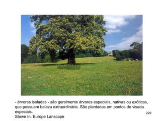 - árvores isoladas - são geralmente árvores especiais, nativas ou exóticas,
que possuam beleza extraordinária. São plantadas em pontos de visada
especiais.                                                                229
Stowe In. Europe Lanscape
 