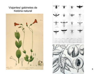 Viajantes/ gabinetes de
    história natural




                          8
 