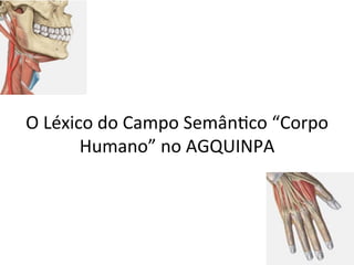 O	Léxico	do	Campo	SemânXco	“Corpo	
Humano”	no	AGQUINPA	
 