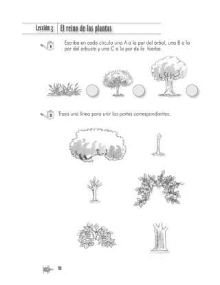 LLección 3 El reino de las plantas
10
Escribe en cada círculo una A a la par del árbol, una B a la
par del arbusto y una C...