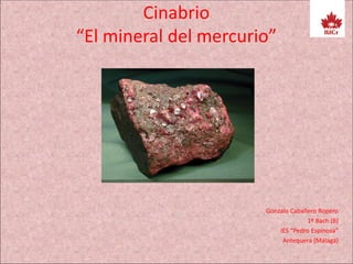 Cinabrio
“El mineral del mercurio”
Gonzalo Caballero Ropero
1º Bach (B)
IES “Pedro Espinosa”
Antequera (Málaga)
 