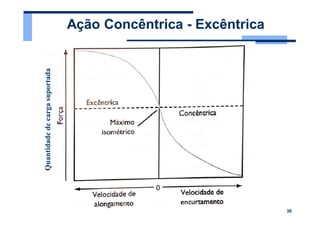 Slide sobre cinesiologia, os movimentos no plano | PDF