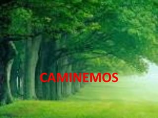 CAMINEMOS 
 