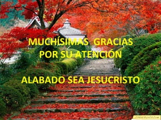 MUCHÍSIMAS 
GRACIAS 
POR 
SU 
ATENCIÓN 
ALABADO 
SEA 
JESUCRISTO 
