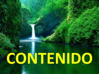 CONTENIDO 
 