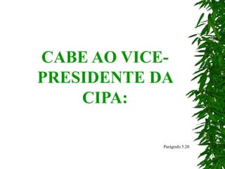 CABE AO VICE-
PRESIDENTE DA
CIPA:
Parágrafo 5.20
 