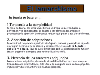1.Tendencia a la complejidad Según esta teoría, los seres vivos tienen un impulso interno hacia la perfección y la complejidad, se adapta a los cambios del ambiente provocando la aparición de órganos nuevos que pasan a sus descendientes.  2. Aparición de adaptaciones La necesidad provoca la aparición de órganos nuevos, y cuando se deja de usar algún órgano, éste se atrófia y desaparece. Se trata de  la hipótesis del uso y desuso,  que se suele simplificar con las expresiones: la función crea el órgano y el órgano que no se utiliza se atrofia . 3. Herencia de los caracteres adquiridos Los caracteres adquiridos durante la vida del individuo se conservan y se transmiten a la descendencia. Esta idea esta arraigada en la cultura popular, incluso hoy día se mantiene en muchas personas. El lamarckismo Su teoría se basa en : 